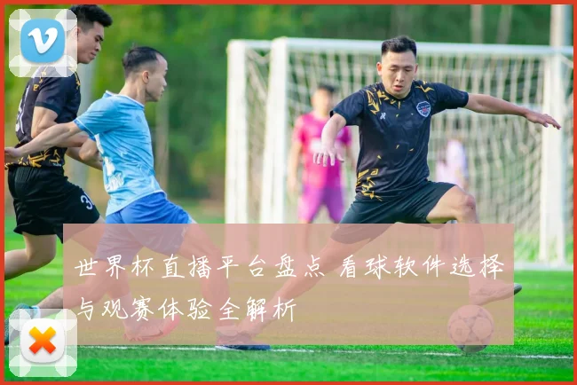 世界杯直播平台盘点 看球软件选择与观赛体验全解析