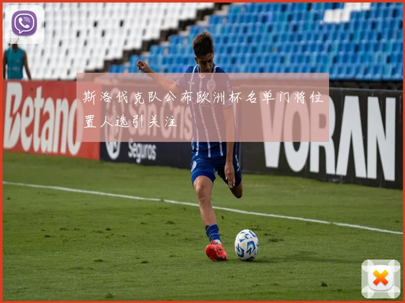 斯洛伐克队公布欧洲杯名单门将位置人选引关注