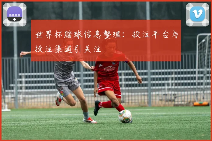 世界杯赌球信息整理：投注平台与投注渠道引关注