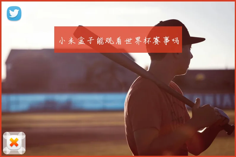 小米盒子能观看世界杯赛事吗
