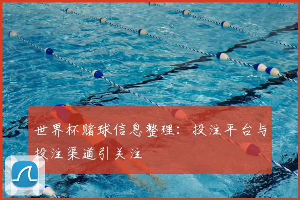 世界杯赌球信息整理：投注平台与投注渠道引关注